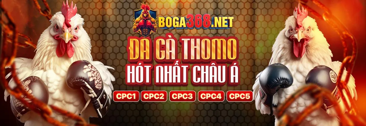 Tải ứng dụng FB88SG trên điện thoại